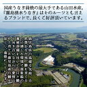 【ふるさと納税】鹿児島県産 山田水産の霧島湧水鰻(160g×5尾・計800g) うなぎ 鰻 ウナギ 5尾 国産 九州産 蒲焼き かばやき 冷凍 うな重 ひつまぶし タレ 山椒 ランキング 人気【山田水産】c0-103 3