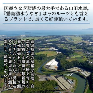 【ふるさと納税】鹿児島県産 山田水産の霧島湧水鰻(160g×5尾・計800g) うなぎ 鰻 ウナギ 5尾 国産 九州産 蒲焼き かばやき 冷凍 うな重 ひつまぶし タレ 山椒 ランキング 人気【山田水産】c0-103