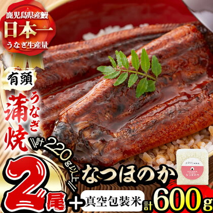 極うなぎ蒲焼き2尾(計220g以上)と真空包装米なつのほか(計600g・2合相当×2P) うなぎ 鰻 ウナギ 2尾 国産 鹿児島県産 九州産 蒲焼き 冷凍 うな重 ひつまぶし タレ 山椒 米 なつほのか 2合 真空パッケージ 真空 真空包装【志布志市観光特産品協会】a4-027