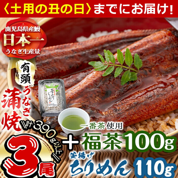 [7/7までの入金で丑の日までにお届け]極うなぎ蒲焼130g以上×3尾(計390g以上)+釜揚げちりめん110g+福茶100g うなぎ 鰻 ウナギ 蒲焼 3尾 真空パック 鰻重 うな丼 ちりめん 一番茶 緑茶 冷凍 お茶 有頭[志布志市観光特産品協会]b4-010
