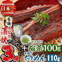 【ふるさと納税】極うなぎ蒲焼130g以上×3尾(計390g以上)+釜揚げちりめん110g+福茶100g うなぎ 鰻 ウナギ 蒲焼 3尾 真空パック 鰻重 うな丼 ちりめん 一番茶 緑茶 冷凍 お茶 有頭【志布志市観光特産品協会】b4-010
