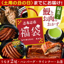 【ふるさと納税】【7/7までの入金で丑の日までにお届け】志布志市福袋!鰻とお肉のおかず(名水慈鰻2尾&里山牛ハンバーグ4個&黒豚MEGUMIウインナー2P&お茶セット 総計約1kg) うなぎ 鰻 蒲焼き 鹿児島 ハンバーグ 冷凍 ウインナー 黒豚【志布志市観光特産品協会】 b8-036