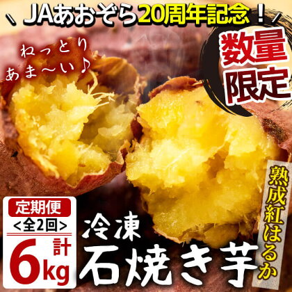 【数量限定】【定期便・全2回】蜜したたる！熟成紅はるかの石焼き芋 計6kg(1kg×3袋×2ヶ月) 鹿児島県産紅はるかを貯蔵熟成させて焼いたさつまいも！レンジで温めても半解凍でもGOOD！子どものおやつやスイーツに♪【JAあおぞら】t002-6-001