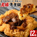 【ふるさと納税】鹿児島県産黒豚とお米を使った黒豚角煮飯12個