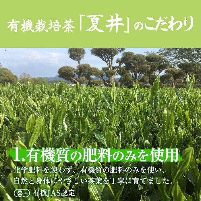 【ふるさと納税】【令和6年度産新茶】☆こだわりの☆有機栽培「夏井」(100g×3袋)一番茶使用の体に優しいお茶♪【鬼塚製茶】 a3-091