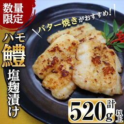 【ふるさと納税】【数量限定】志布志湾鱧 塩麹漬け130～150g以上×4パック(計520g以上)!天然はもの漁場としても有名な志布志湾で水揚げされたハモは身がパンパン!味付け済みなので解凍して焼くだけ!晩酌のお供としてお酒のおつまみに!バター焼きがおすすめ【北崎水産】a2-053