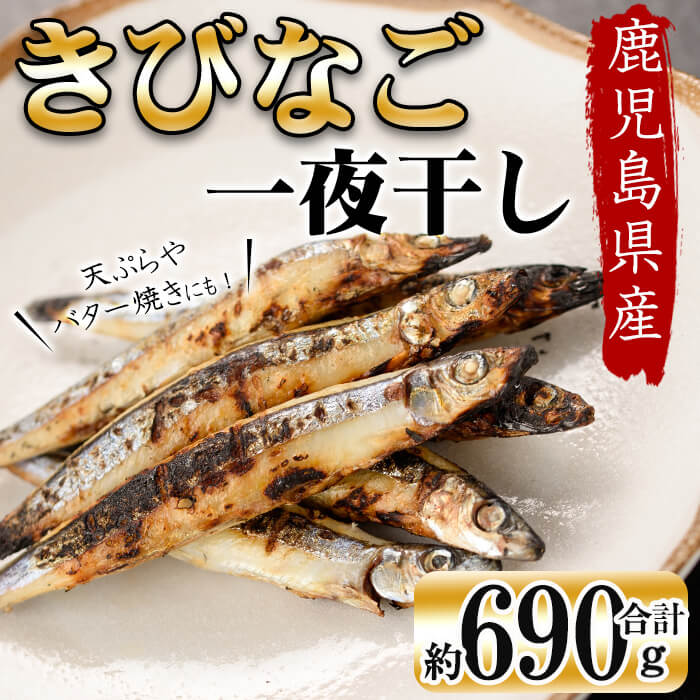 鹿児島県産 黒潮の恵み 天然物 きびなご 一夜干し 約230g×3パック(合計約690g)!晩酌のお供としてお酒のおつまみに!天ぷらやバター焼きがおすすめ![北崎水産]a2-054