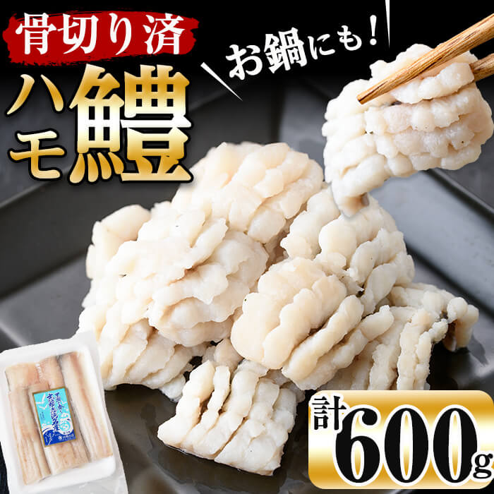 お鍋・はもしゃぶにも!志布志湾鱧(骨切り済み)300g×2パック 計600g!鮮度を保った状態で骨切りしているので舌にも触らず食べやすい!湯引きして梅肉などで♪ハモしゃぶ・フライやバターソテーにも![北崎水産]a4-028