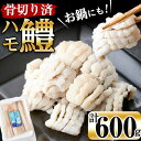 お鍋・はもしゃぶにも！志布志湾鱧（骨切り済み）300g×2パック 計600g！鮮度を保った状態で骨切りしているので舌にも触らず食べやすい！湯引きして梅肉などで♪ハモしゃぶ・フライやバターソテーにも！a4-028