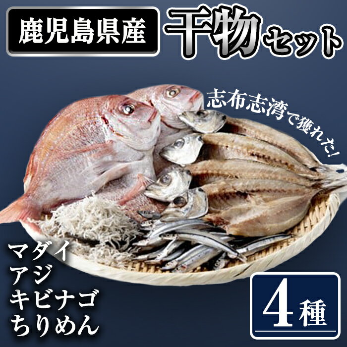 志布志湾産 干物セット(計4種) 干物 ひもの 天然 マダイ 真鯛 鯛 アジ 鯵 一夜干し キビナゴ ちりめん ちりめんじゃこ シラス[北崎水産]a7-006