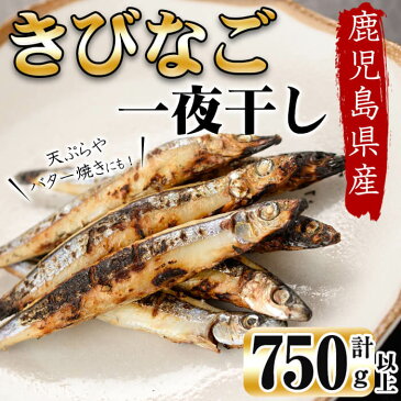 【ふるさと納税】鹿児島県産 黒潮の恵み 天然物 きびなご 一夜干し 250～300g×3パック(計750g以上)!晩酌のお供としてお酒のおつまみに!天ぷらやバター焼きがおすすめ!【北崎水産】p9-002