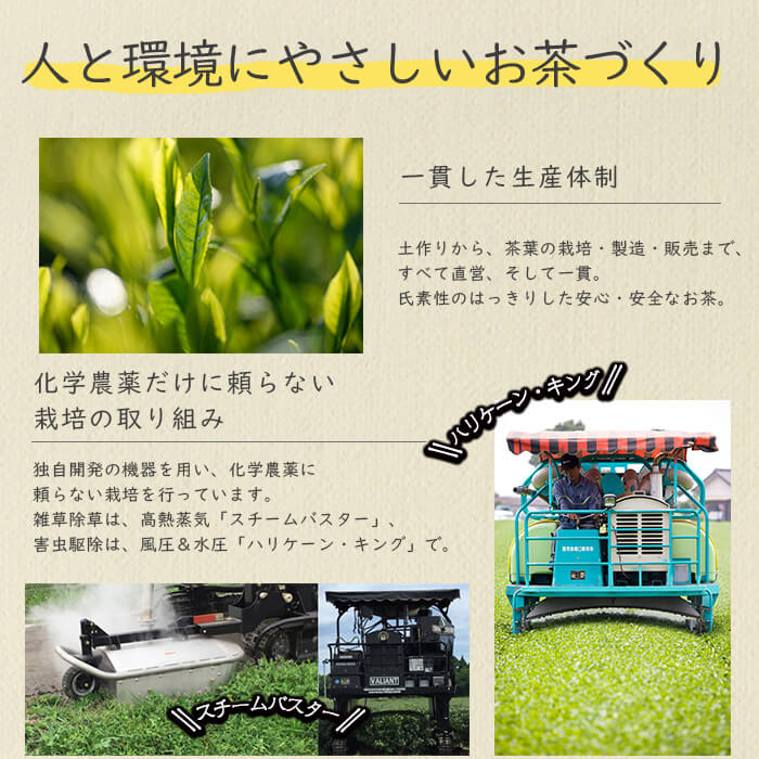 【ふるさと納税】マグカップで飲める！バラエティな4種のお茶セット!志布志市産あらびき茶と緑茶、ウーロンブラック、紅茶を飲み比べ♪鹿児島県志布志産茶葉100％使用【和香園】p3-001