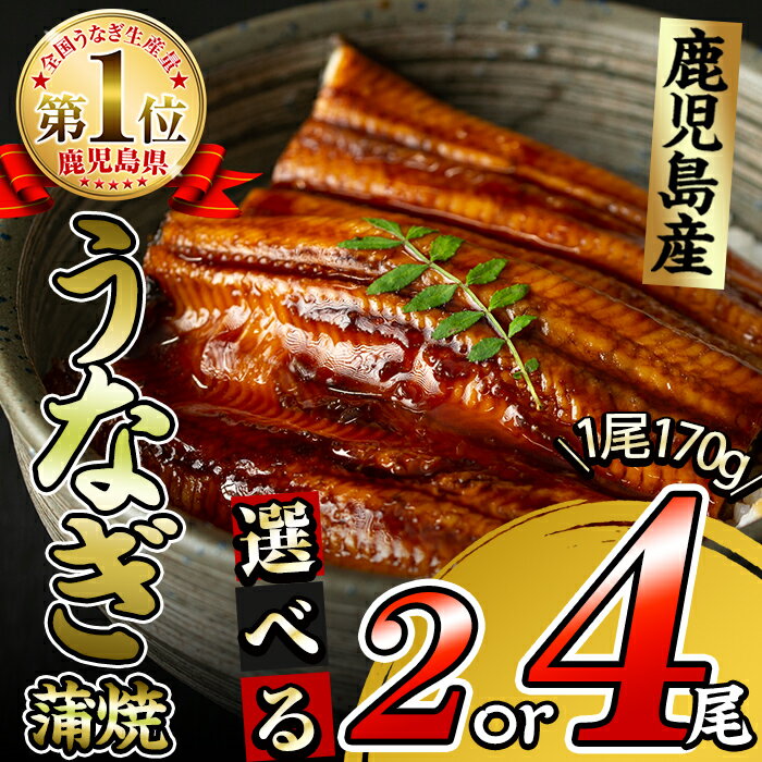 【ふるさと納税】【尾数が選べる！】鹿児島県大隅産 くすだ屋の極上うなぎ(170g／2尾or4尾)うな