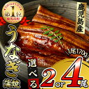 18位! 口コミ数「123件」評価「4.65」【尾数が選べる！】鹿児島県大隅産 くすだ屋の極上うなぎ(170g／2尾or4尾)うなぎ 鰻 ウナギ 2尾 4尾 国産 九州産 蒲焼き かばや･･･ 