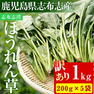 【ふるさと納税】【数量限定・訳あり】志布志湾ほうれん草(200g×5袋 合計1kg)生でも食べられるほうれん草！サラダ、おひたし、お味噌汁、スムージー、ほうれん草ジュースに！【期間限定】ほうれんそう【そはら農園】p5-014