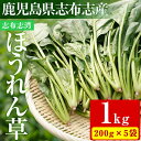 【数量限定】志布志湾ほうれん草計1kg(200g×5袋)生でも食べられるほうれん草！サラダ、おひたし、お味噌汁、スムージー、ほうれん草ジュースに！【期間限定】ほうれんそう【そはら農園】p8-102