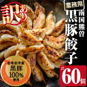 【ふるさと納税】【訳あり・業務用】鹿児島県産黒豚100%使用!南国熊曽黒豚餃子(60個)国産豚肉の脂が野菜の旨味と混ざる!皮には国産小麦を使用しコシ・弾力の強い餃子!ビールのつまみ、ラーメンと一緒に!【アグリおおすみ】a1-060