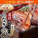 【ふるさと納税】鹿児島県産 伊崎田のうなぎ蒲焼 中<150g以上>× 2尾(計300g以上) 臭みが少なくふっくら旨い国産ウナギを香ばしく焼き上げ!鰻生産量日本...