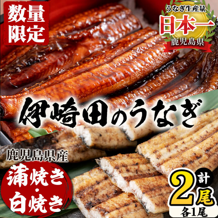 [数量限定]鹿児島県産 伊崎田のうなぎ蒲焼き&白焼きセット(計2尾/各1尾/計270g以上) 鰻 蒲焼 白焼き うなぎ ウナギ 2尾 国産 九州産 鹿児島県産 食べ比べ 有頭 無頭 うな重 うな丼 ひつまぶし タレ 山椒[伊崎田養魚場]a5-240