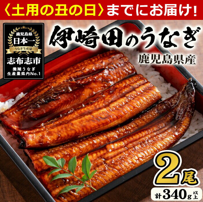 【ふるさと納税】【7/7までの入金で丑の日までにお届け】【数量限定】鹿児島県産 ...
