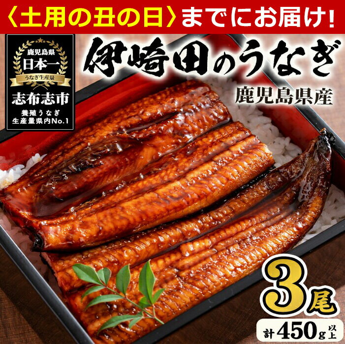 【ふるさと納税】【7/7までの入金で丑の日までにお届け】【数量限定】鹿児島県産 ...