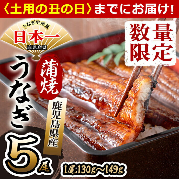 【ふるさと納税】【丑の日までにお届け！7月10日入金まで】【数量限定】鹿児島県産 伊崎田のうなぎ蒲焼 1尾＜130g以上＞× 5尾(計650g以上) 臭みが少なくふっくら旨い国産鰻を香ばしく焼き上げ! 無頭蒲焼きを鰻重、うな丼、ひつまぶしやうな茶漬けに【伊崎田養魚場】b7-001