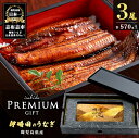 【ふるさと納税】【ギフト対応】【数量限定】鹿児島県産 伊崎田のうなぎ蒲焼 <190g以上>× 3尾(計570g以上) 鰻 うなぎ ウナギ 蒲焼き 3尾 国産 九...