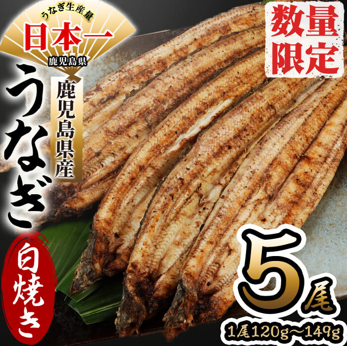 [数量限定]鹿児島県産 伊崎田のうなぎ白焼き [120g以上]× 5尾(計600g以上) 鰻の食べ方は鰻重、うな丼、ひつまぶしだけじゃない! ふっくら旨い国産鰻の旨味をそのまま堪能!自社加工場で有頭白焼にしました!お好みの薬味で![伊崎田養魚場]b7-005