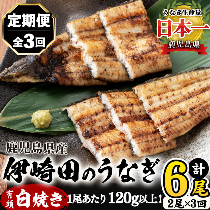 [定期便・全3回][数量限定]鹿児島県産 伊崎田のうなぎ 白焼き(計6尾/120g以上×2尾を3回お届け!) 鰻 白焼き うなぎ ウナギ 2尾 6尾 国産 九州産 鹿児島県産 冷凍 有頭 おつまみ 薬味 定期便 頒布会 [伊崎田養魚場]t0042-01