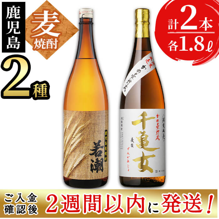 [入金確認後、2週間以内に発送!]鹿児島麦焼酎[若潮・千亀女]飲み比べセット(各1.8L・計2本)志布志の蔵元若潮酒造の本格麦焼酎2種類が楽しめる一升瓶のセット!水割りはもちろん、お湯割りやロックでもお楽しみください[酒蔵大隅家]a6-007-2w