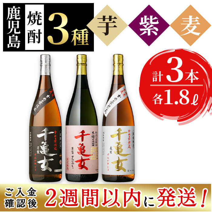 [入金確認後、2週間以内に発送!]鹿児島焼酎[千亀女]3種飲み比べセット(各1.8L・計3本)志布志の蔵元若潮酒造の黄金千貫、紫芋、麦をそれぞれ使用しこだわりの芋焼酎や麦焼酎の一升瓶!水割り、お湯割りやロックでお楽しみください[酒蔵大隅家]b7-014-2w