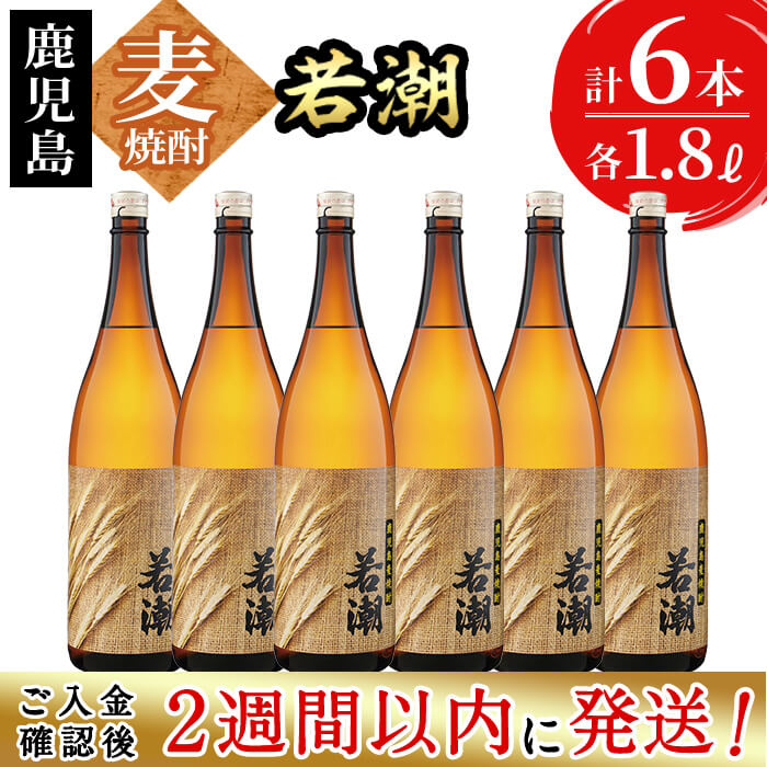 [入金確認後、2週間以内に発送!]鹿児島麦焼酎[若潮](各1.8L・計6本)志布志の蔵元若潮酒造の麦製の焼酎を存分に楽しめる一升瓶6本セット!水割りはもちろん、お湯割りやロックでもお楽しみください[酒蔵大隅家]c4-012-2w