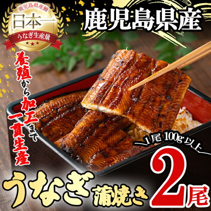 桜林養鰻のうなぎ蒲焼 計200g以上(100g以上×2尾) 鰻 うなぎ ウナギ うなぎ 蒲焼き かばやき 国産 九州産 鹿児島県産 冷凍 真空パック 簡単 うな丼 うな重 ひつまぶし 惣菜 おかず【桜林養鰻】a2-060