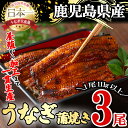 【ふるさと納税】桜林養鰻のうなぎ蒲焼 計333g以上(111g以上×3尾) 鰻 うなぎ ウナギ うなぎ 蒲焼き かばやき 国産 九…