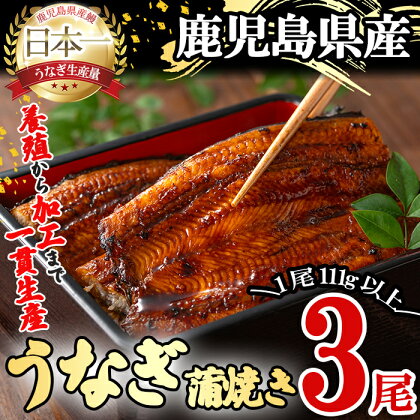 桜林養鰻のうなぎ蒲焼 計333g以上(111g以上×3尾) 鰻 うなぎ ウナギ うなぎ 蒲焼き かばやき 国産 九州産 鹿児島県産 冷凍 真空パック 簡単 うな丼 うな重 ひつまぶし 惣菜 おかず【桜林養鰻】b0-175