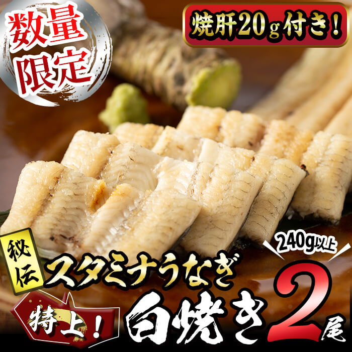 [数量限定]鹿児島県産!秘伝の特上スタミナうなぎ白焼き[2尾・計240g以上]焼肝20g付き! にんにく黒酢パワーで丸々太った美味しい鰻!うなぎ ウナギ 鰻 白焼き うな肝 焼き肝 有頭 鹿児島[有明淡水]a3-159