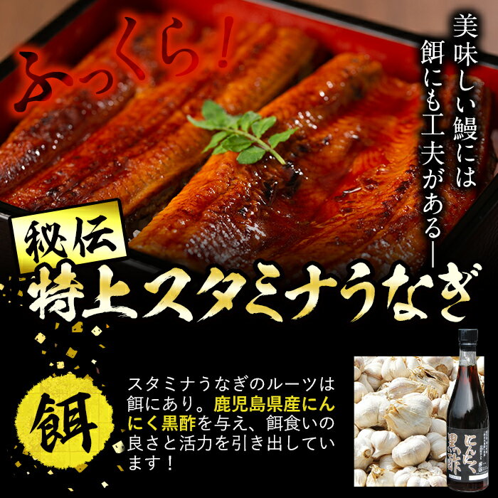 【ふるさと納税】【7/7までの入金で丑の日までにお届け】【数量限定】鹿児島県産！秘伝の特上スタミナうなぎ超特大蒲焼き1尾＜200g以上！＞焼肝20g付き！にんにく黒酢パワーで丸々太った美味しい国産鰻！うなぎ ウナギ 鰻 蒲焼き うな肝 うな丼 ひつまぶし【有明淡水】a1-101