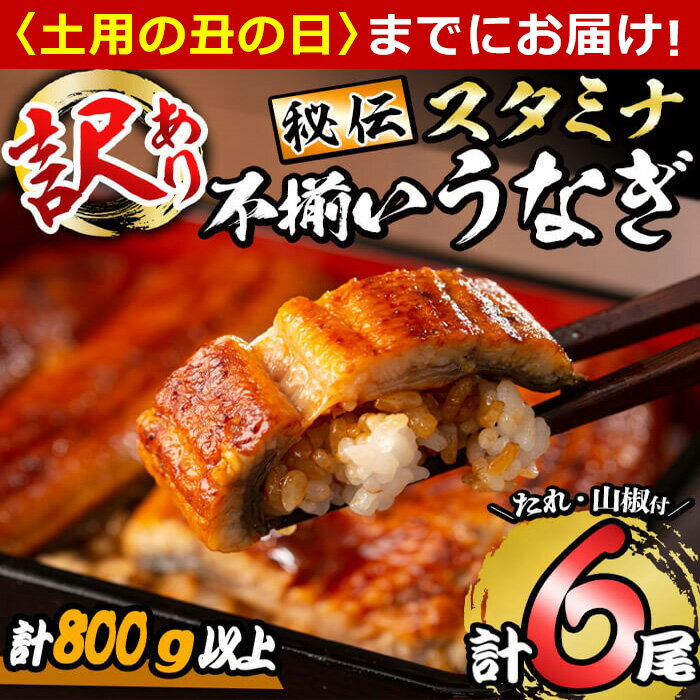 【ふるさと納税】【7/7までの入金で丑の日までにお届け】【訳あり】鹿児島県産！秘伝のスタミナうなぎ蒲焼き＜計6尾・計800g以上＞ に..