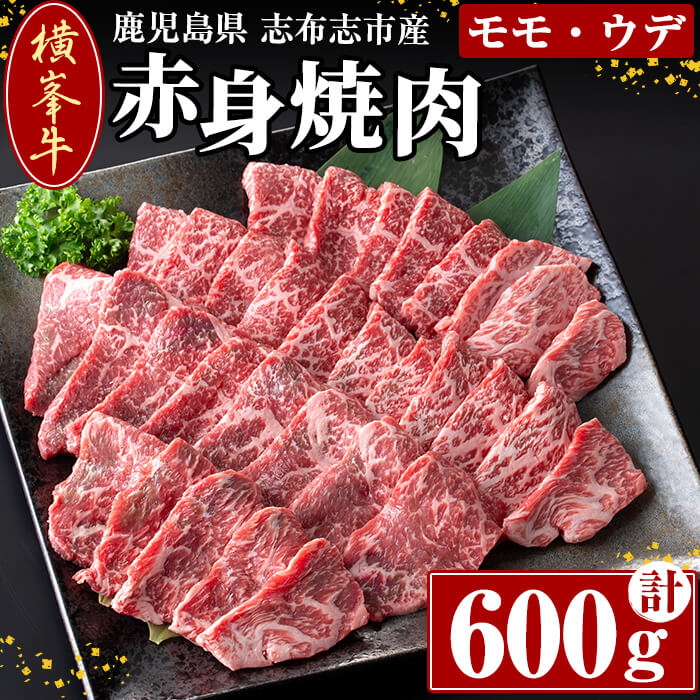 【ふるさと納税】鹿児島県志布志市産(国産交雑種) 横峯牛の赤身焼肉(600g×1P) 鹿児島県産 国産 牛肉 牛 赤身 赤身肉 焼き肉 希少牛 手切り モモ ウデ バーベキュー BBQ【エル三和】b0-165