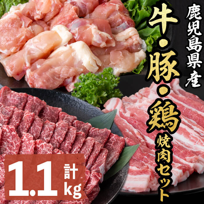 【ふるさと納税】鹿児島県産牛・豚・鶏焼肉セット(計1.1kg) 牛肉 豚肉 鶏肉 モモ 牛モモ 鶏モモ バラ 豚バラ 小分け 真空パック 3種 セット バラエティセット 焼肉 焼き肉 バーベキュー 国産 鹿児島県産 志布志 志布志市【羽根】a6-029