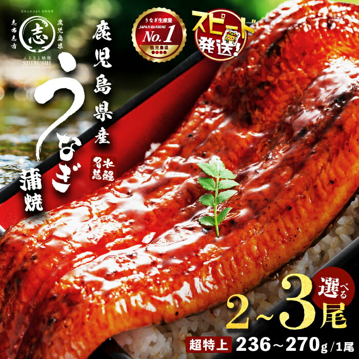 【ふるさと納税】【10営業日以内に発送】【内容量が選べる！】鹿児島県産うなぎ蒲焼 名水慈鰻 超特上 ...