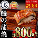 【ふるさと納税】【訳あり・数量限定・期間限定】復活!不揃いのうなぎ達(鹿児島県産 鰻の蒲焼き)<計800g以上> うなぎ 鰻 ウナギ 不揃い ふぞろい 訳アリ ...