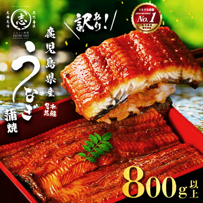 うなぎ生産量日本一だからできる企画！平成の名水百選に選ばれた水で育てました！ ふるさと納税 鹿児島県 志布志市 特産品【ふるさと納税】【訳あり】復活！不揃いのうなぎ達 鹿児島県産 うなぎ蒲焼き＜計800g以上＞ うなぎ 鰻 ウナギ 不揃い ふぞろい 訳アリ 国産 九州産 蒲焼 かばやき 人気 うな重・ひつまぶし【鹿児島鰻】b2-040