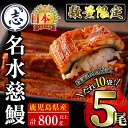 【ふるさと納税】【数量限定】鹿児島県産うなぎ蒲焼 名水慈鰻5尾(計800g以上・1尾あたり160g~190g以上) 鰻 ウナギ 5尾 国産 蒲焼 かばやき 冷凍 うな重 ひつまぶし タレ 山椒 ランキング 人気【鹿児島鰻】c0-124