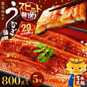 【ふるさと納税】【志布志市制20周年記念】【数量限定】鹿児島県産うなぎ蒲焼 名水慈鰻5尾(計800g以上・1尾あたり160g~190g以上) 鰻 ウナギ 5尾 国産 蒲焼 かばやき 冷凍 うな重 ひつまぶし タレ 山椒 ランキング 人気【鹿児島鰻】b98-001