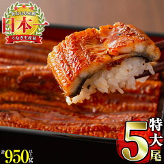 https://thumbnail.image.rakuten.co.jp/@0_mall/f462217-shibushi/cabinet/kagoshima-unagi/c3-001_nt.jpg