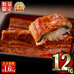 https://thumbnail.image.rakuten.co.jp/@0_mall/f462217-shibushi/cabinet/kagoshima-unagi/e4-004_nt1.jpg