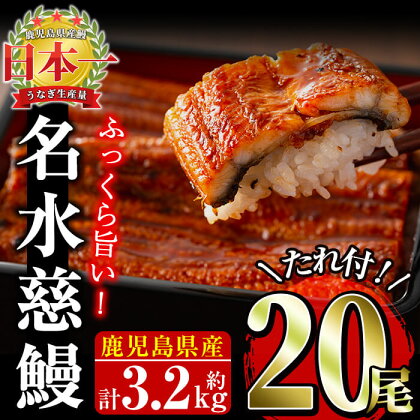 うなぎ養殖日本一！鹿児島県産ウナギ蒲焼 名水慈鰻 20尾(1尾 約160g)＜合計 約3.2kg！＞うな丼やうな重、ひつまぶしに♪たれ・山椒付き！ うなぎ 鰻 蒲焼き 鹿児島県産 鹿児島 大容量【鹿児島鰻】wa4-001