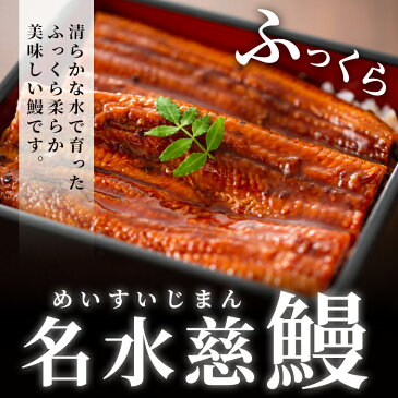 【ふるさと納税】生産量日本一！鹿児島県産うなぎ蒲焼 名水慈鰻特大5尾(1尾190g以上)＜計950g以上＞国産ウナギの美味しい蒲焼きをご自宅で♪【鹿児島鰻】c6-027