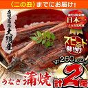 【ふるさと納税】楠田の極うなぎ蒲焼き130g以上×2尾(計260g以上) 山椒付たれ 鰻 ウナギ 蒲焼 うな重 ひつまぶし 鹿児島 冷凍 おかず お祝い【7/21までの入金で 二の丑 (7/31)までにお届け】【楠田淡水】a4-093